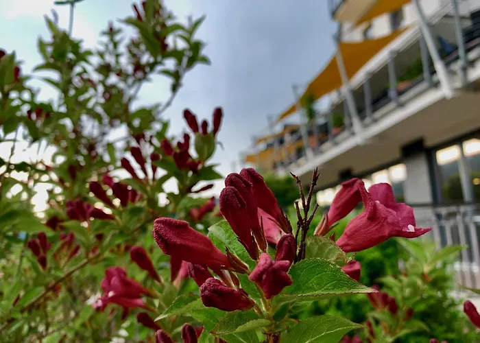 Evangelisches Allianzhaus *